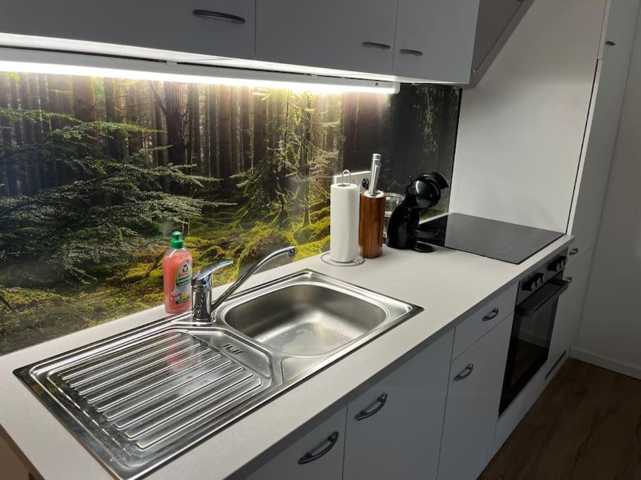 Gemuetliches 4Er Apartment In Skilift-Naehe زيل أم سي المظهر الخارجي الصورة